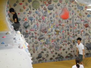 o1280096013779102021