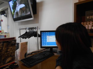 o1600120013778592761