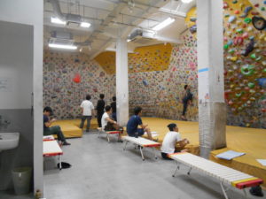 o1600120013781005504