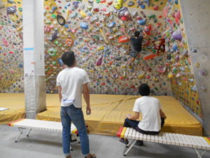 o1600120013797991996