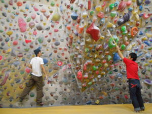 o1600120013805883798