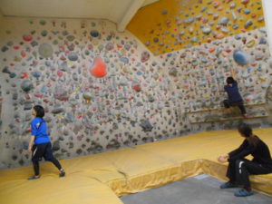 o1600120013820599680